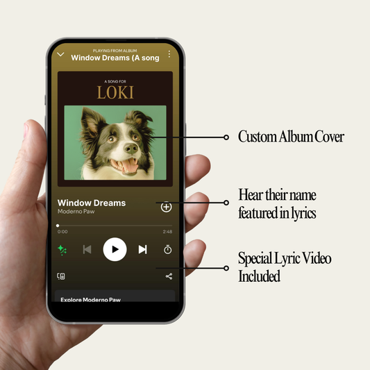My Best Friend’s Song