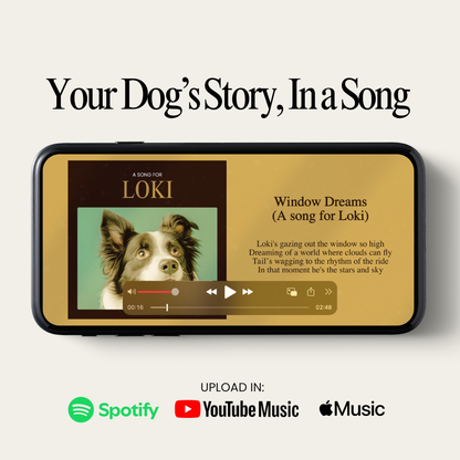 My Best Friend’s Song