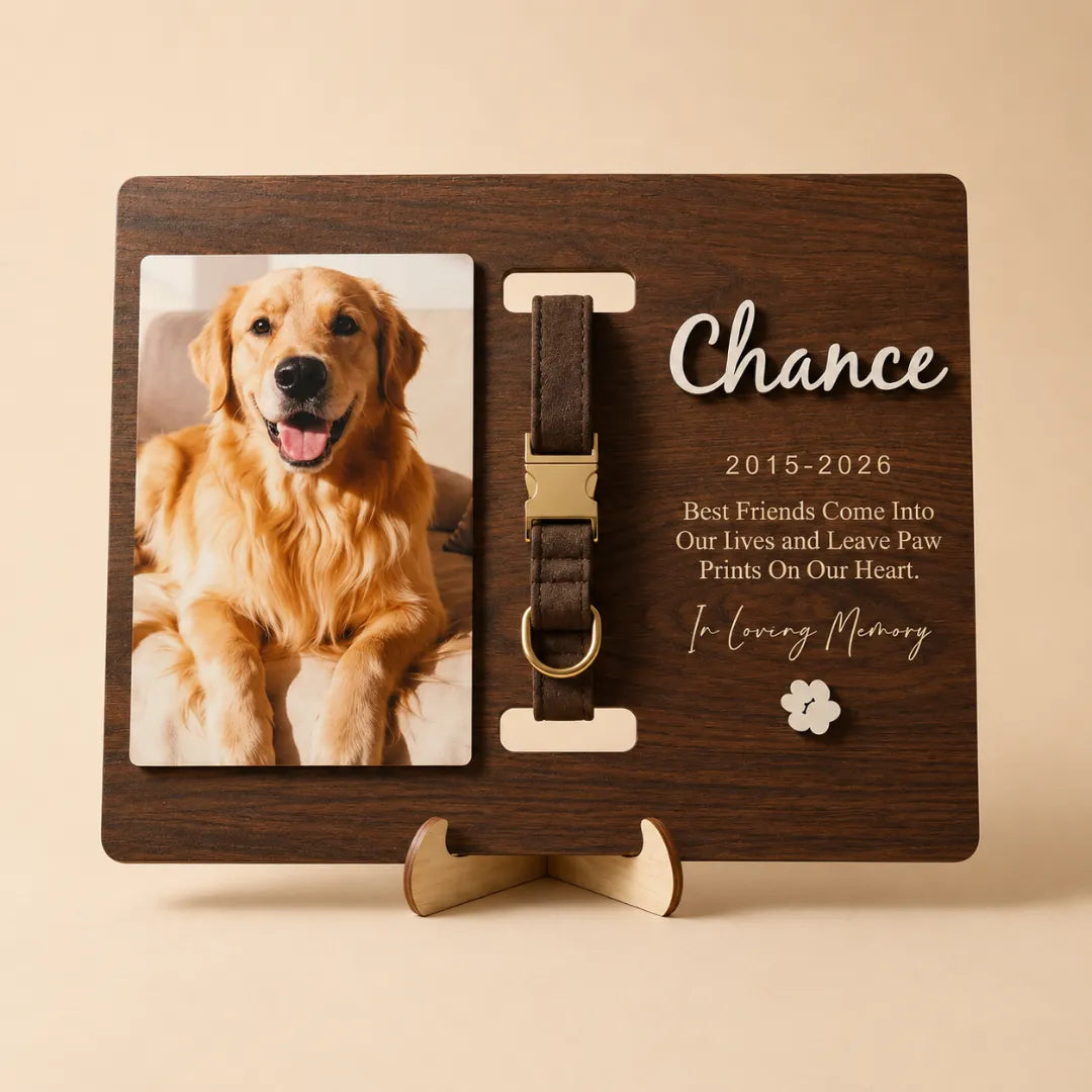 Pet Memorial Collar Holder