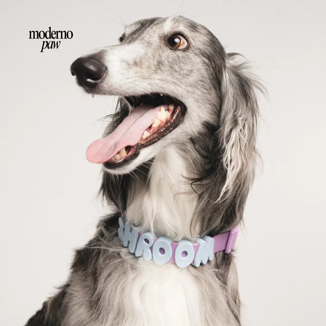 Pet Collar