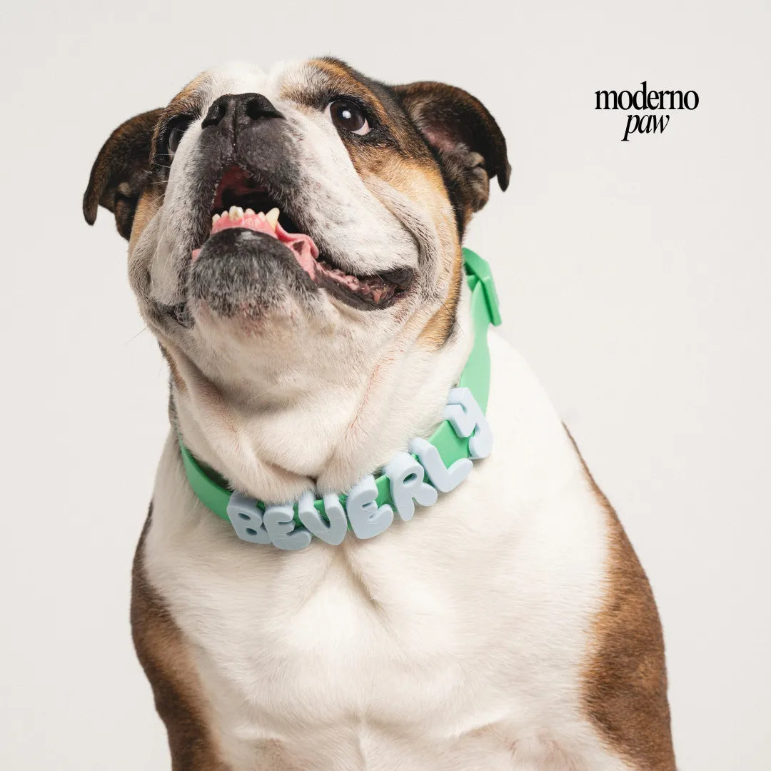 Pet Collar