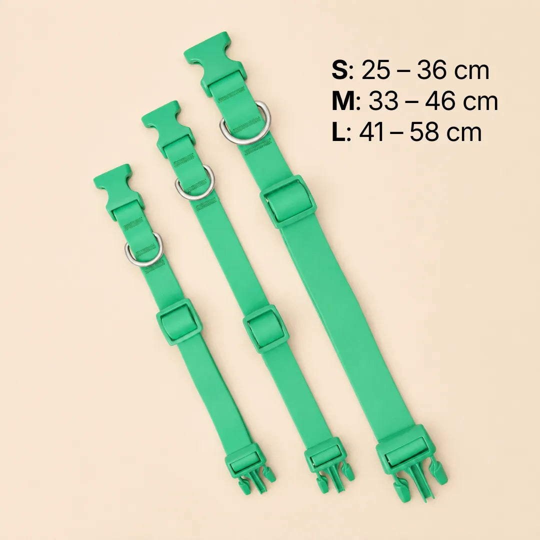 Pet Collar