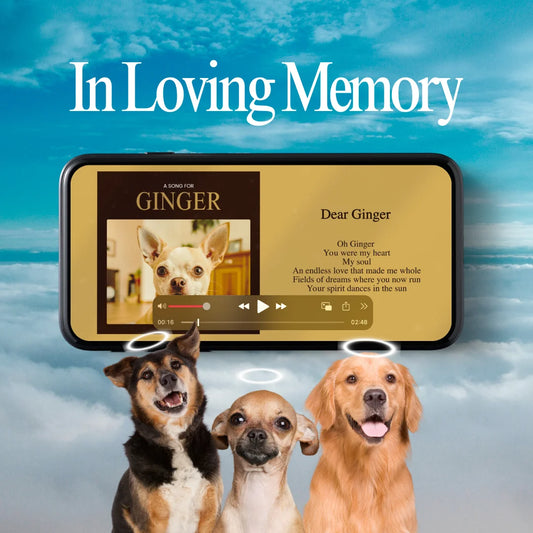 Memorial Song
