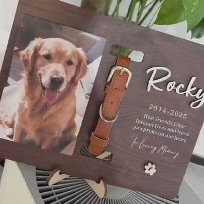 Pet Memorial Collar Holder