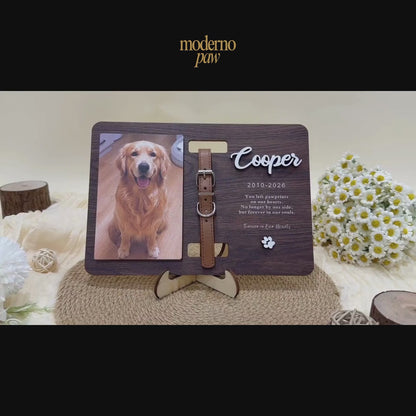 Pet Memorial Collar Holder